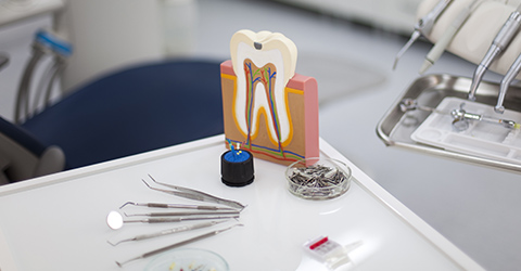 当院の歯周病への取り組み ―歯の保存のために―