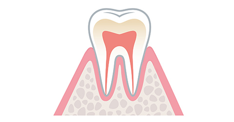 健康な歯